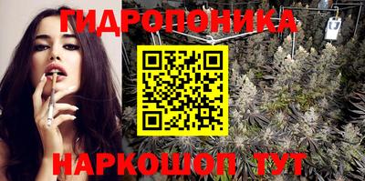индика Краснокаменск
