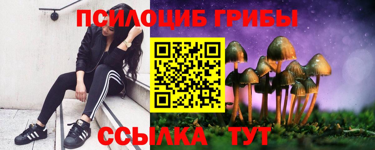 Черняховск  Псилоцибиновые грибы MAGIC MUSHROOMS  Вход с VPN 