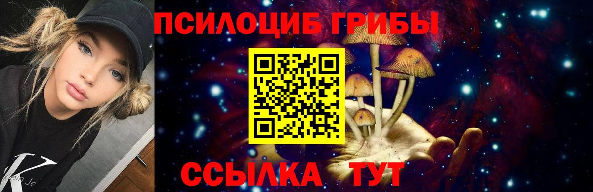 Псилоцибиновые грибы прущие грибы Черняховск